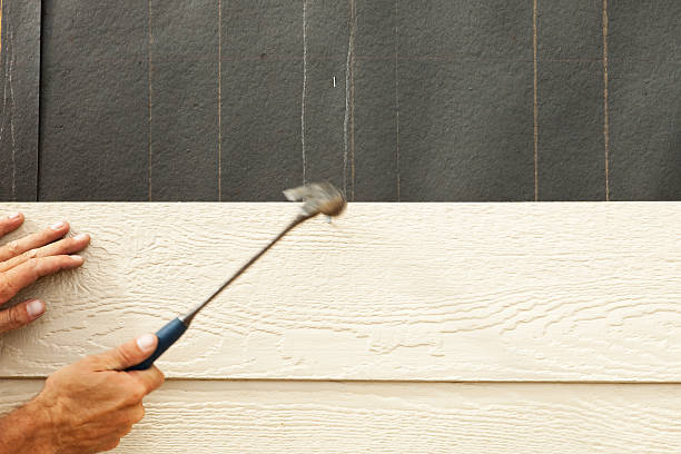 Reliable Trinity, AL Siding Solutions